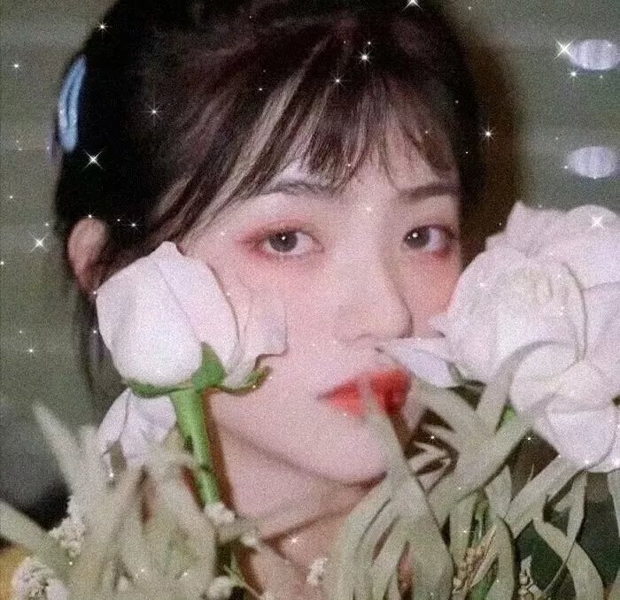 香车美人